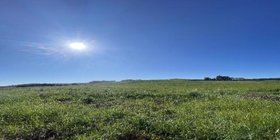 Imóvel rural em Flor da Serra do Sul, Nova Perseverança, Área Rural, Constituído Pelo Lote 13 (área Remanescente) Da Gleba 11 Nova Perseverança, PR. Área: 100492.00000000001m2 - imagem 0