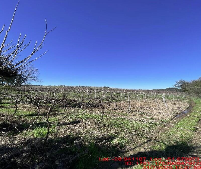 Imóvel rural em Cotiporã, Área Rural C/ 75.625,00m², Parte Do Lote Rural Nº 85 Da Linha Dr. Júlio De Castros Área Rural C/ 75.625,00m², RS. Área: nullm2 - imagem 0