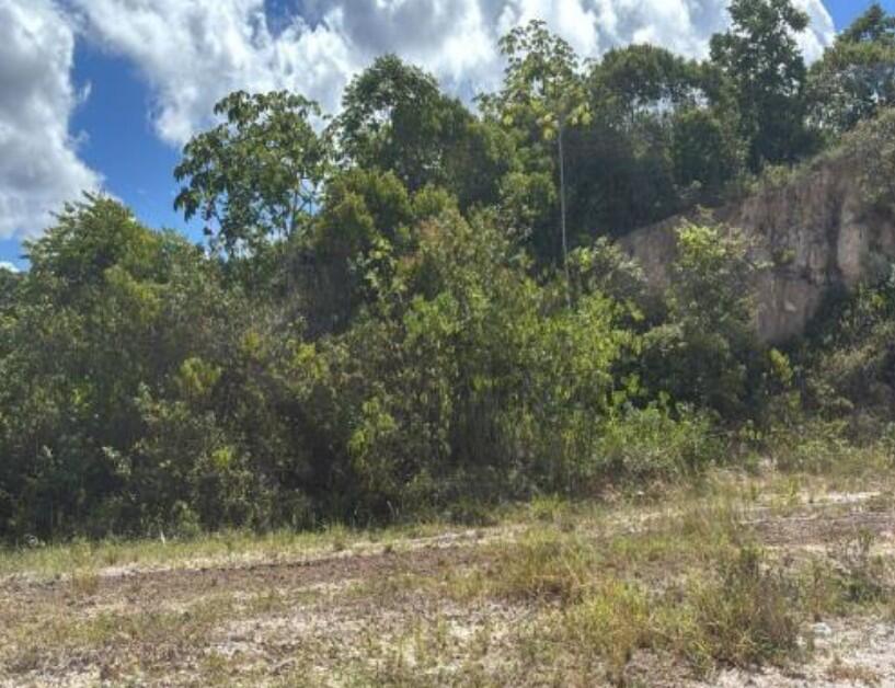 Terreno em Candeias, Distrito Industrial, Rua Fazenda Mamão, S/nº Distrito Industrial, BA. Área: nullm2