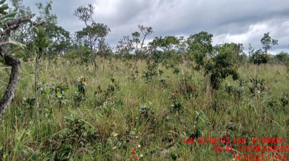 Imóvel rural em Darcinópolis, Chácara Agua Boa, , Lote 72 Da Gleba Maior Ii 3ª Etapa, Denominada Chácara Água Chácara Agua Boa, TO. Área: 1023347m2