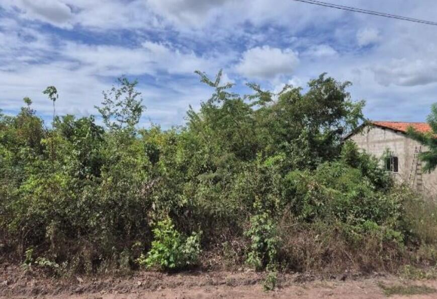 Terreno em Chapadinha, Parque Moisés Amorim, Av. Principal, S/nº Parque Moisés Amorim, MA. Área: 500m2
