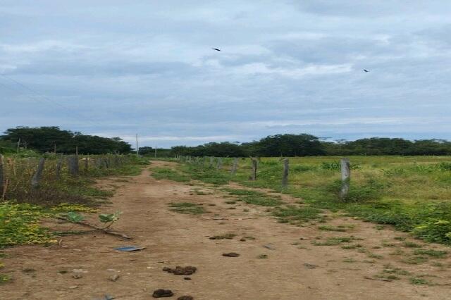 Fazenda