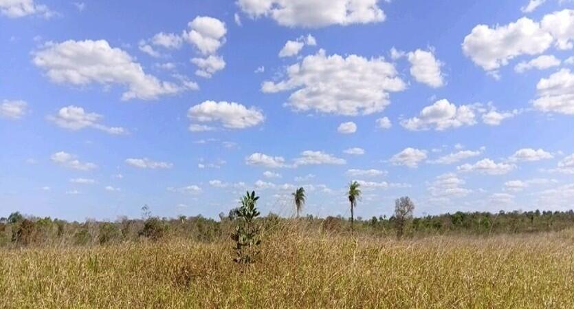 Rural em Três Buritis