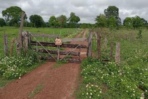 Imóvel rural em Aruanã, , Aruanã, Go, GO. Área: nullm2
