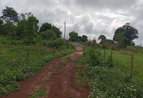 Imóvel rural em Aruanã, , Aruanã, Go, GO. Área: nullm2 - imagem 0