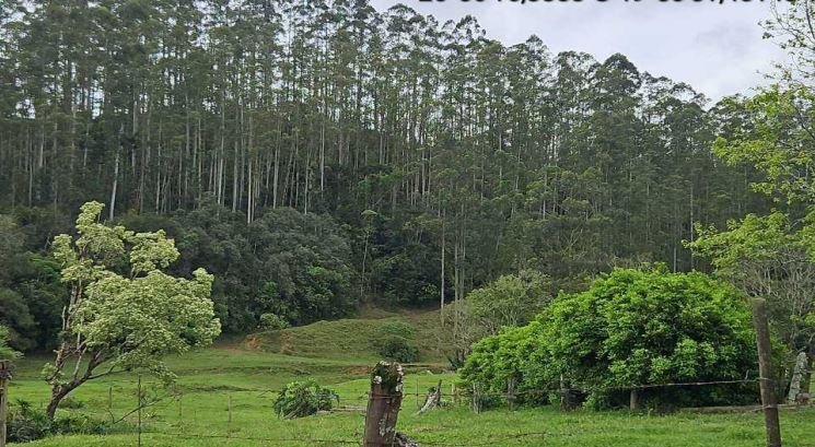 Imóvel rural em Witmarsum, , Witmarsum, Sc, SC. Área: nullm2