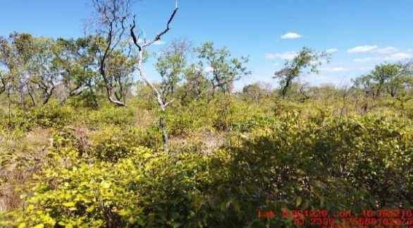 Imóvel rural em São Pedro dos Crentes, , São Pedro Dos Crentes, Ma, MA. Área: nullm2