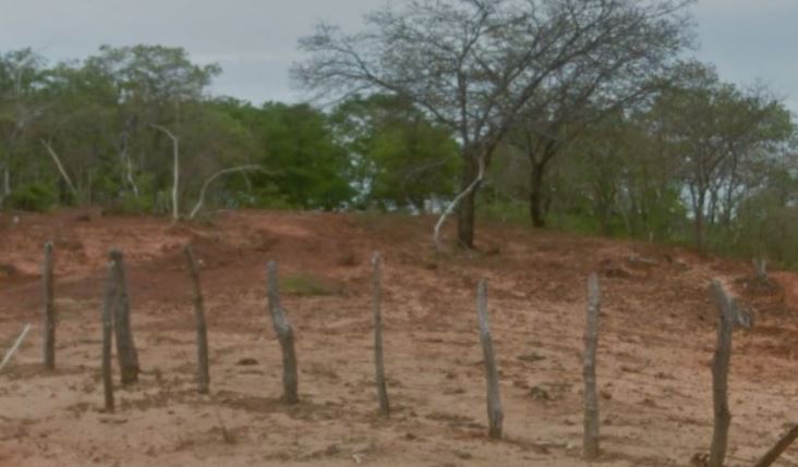 Imóvel rural em Pedras de Maria da Cruz, Área Rural, Fazenda Palmeirinha ou Cascalho - Área Rural, MG. Área: nullm2 - imagem 0