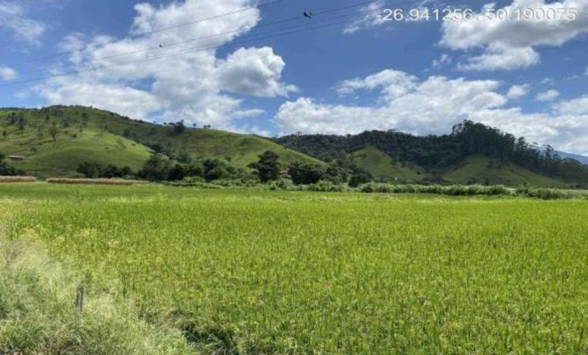 Imóvel rural em Rio do Campo, Ribeirão Carneiro, Ribeirão Carneiro, SC. Área: nullm2 - imagem 0