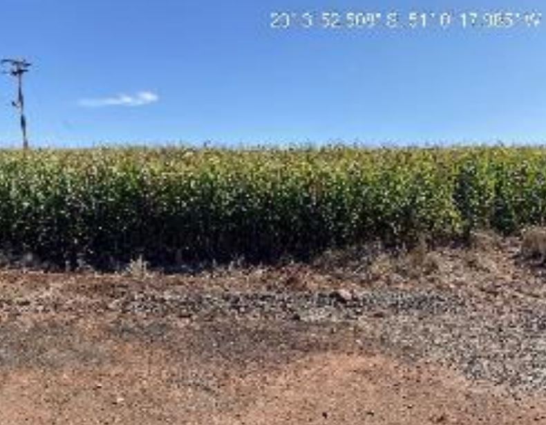 Imóvel rural em Sertanópolis, Córrego Taboca, Linha Suburbana lotes 64 e 163 - Córrego Taboca, PR. Área: nullm2 - imagem 0