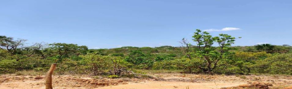 Imóvel rural em Cocos, Zona Rural, Rod. BA-594 Fazenda Barroção - Zona Rural, BA. Área: nullm2