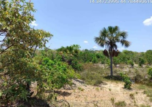 Imóvel rural em Cocos, Zona Rural, Rod. BA-594 Fazenda Barroção - Zona Rural, BA. Área: nullm2 - imagem 0