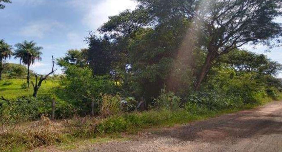 Terreno em Porto Ferreira, Santa Cruz, Av Lázaro José de Araújo Gleba A-3B - Santa Cruz, SP. Área: 3368.35m2 - imagem 0