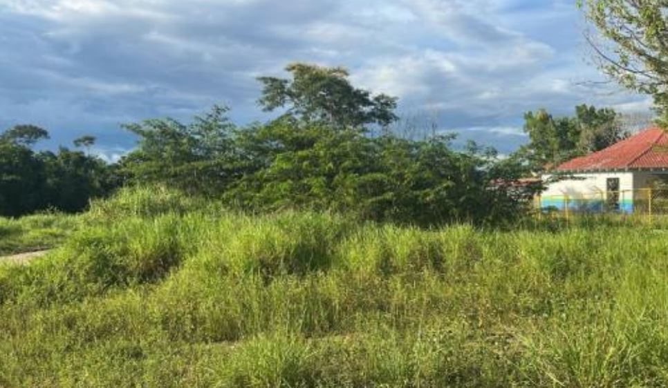 Terreno em São Luiz, Centro, Av. Macapá Lt 425 da Qd 4-A - Centro, RR. Área: 2500m2 - imagem 0