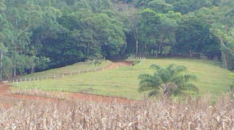 Imóvel rural em Lontras, Área Rural, Dona Paula - Área Rural, SC. Área: nullm2