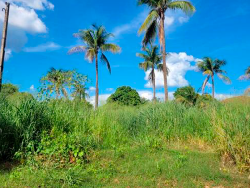 Terreno em Araçatuba, Chácaras Bandeirantes, Travessa Santo Onofre Sn (chácara Santo Antonio) Chácaras Bandeirantes, SP. Área: 4325m2 - imagem 0