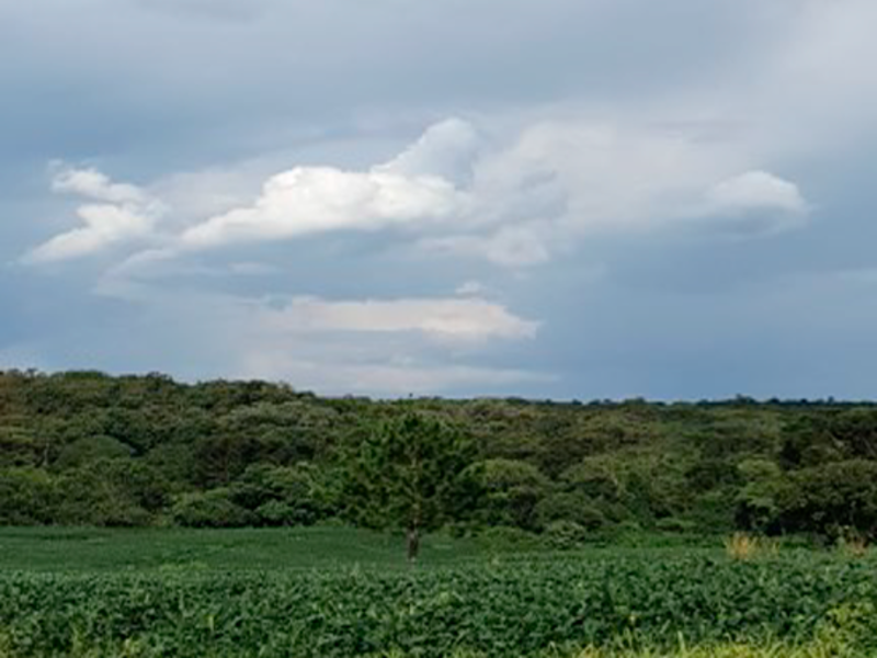 Terreno em Irati, Taquari, (água Clara) Taquari, PR. Área: 535280m2