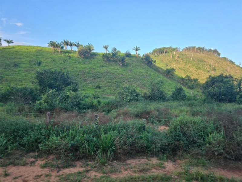Terreno em Alto Alegre do Pindaré, Gleba Alto Alegre,  Fazenda Santo Antônio Gleba Alto Alegre, MA. Área: nullm2