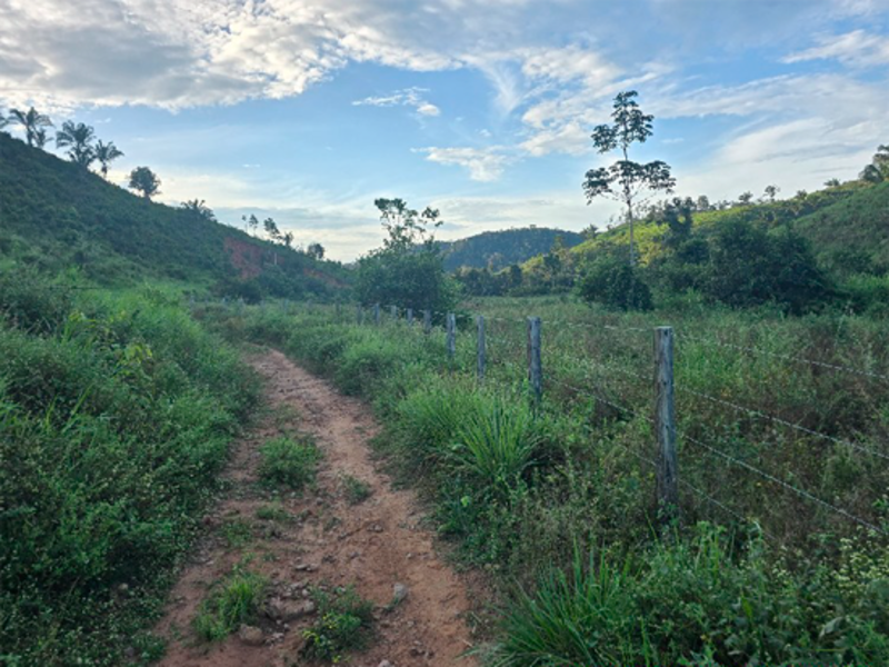 Terreno em Alto Alegre do Pindaré, Gleba Alto Alegre,  Fazenda Santo Antônio Gleba Alto Alegre, MA. Área: nullm2 - imagem 0