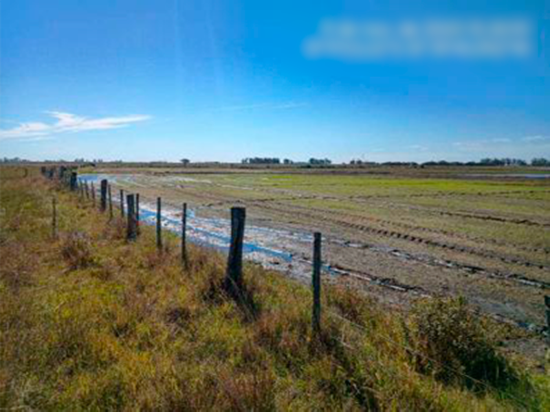 Imóvel rural em Camaquã, Distrito De Pacheca,  Distrito De Pacheca, RS. Área: nullm2