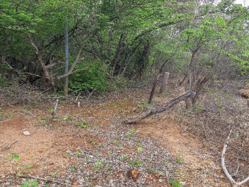 Terreno - Pedras De Maria Da Cruz/MG -  Fazenda Palmeirinha ou Cascalho