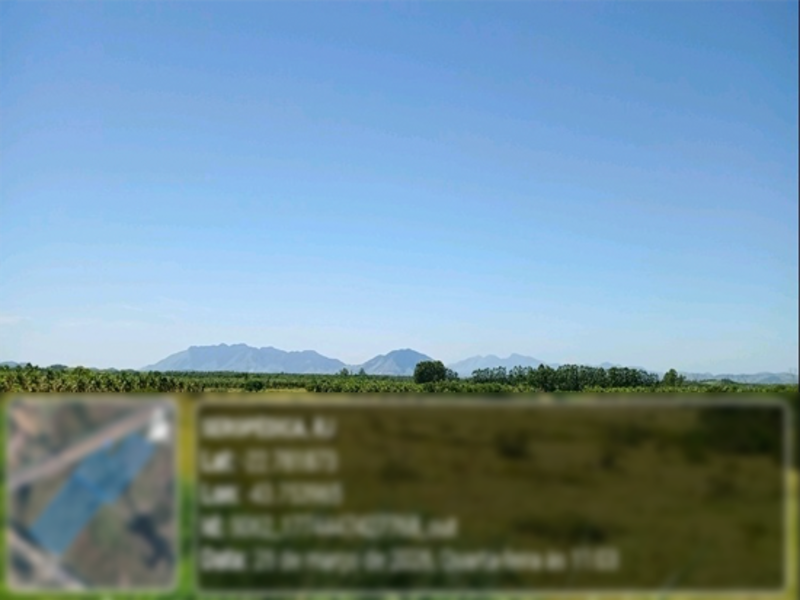 Foto 10