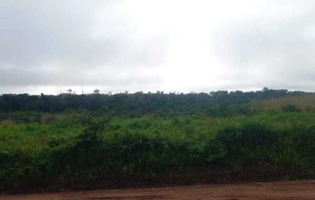 Terreno em Mocajuba, MONTE ALEGRE, Margem Da Passagem Acapuquara S/n Monte Alegre, PA. Área: nullm2