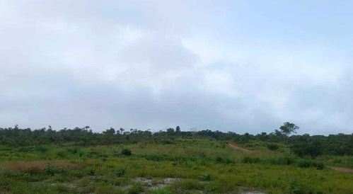 Terreno em Mocajuba, MONTE ALEGRE, Margem Da Passagem Acapuquara S/n Monte Alegre, PA. Área: nullm2 - imagem 0