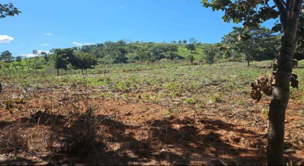 Imóvel rural em Jaraguá, Zona Rural, Rodovia Br-153 - S/n Zona Rural, GO. Área: nullm2 - imagem 0