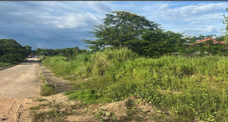 Terreno em São Luiz, Centro, Av. Macapá, Br-210 (lt. 425 Da Qd. 4-a – Setor 04) S/n Centro, RR. Área: nullm2 - imagem 0