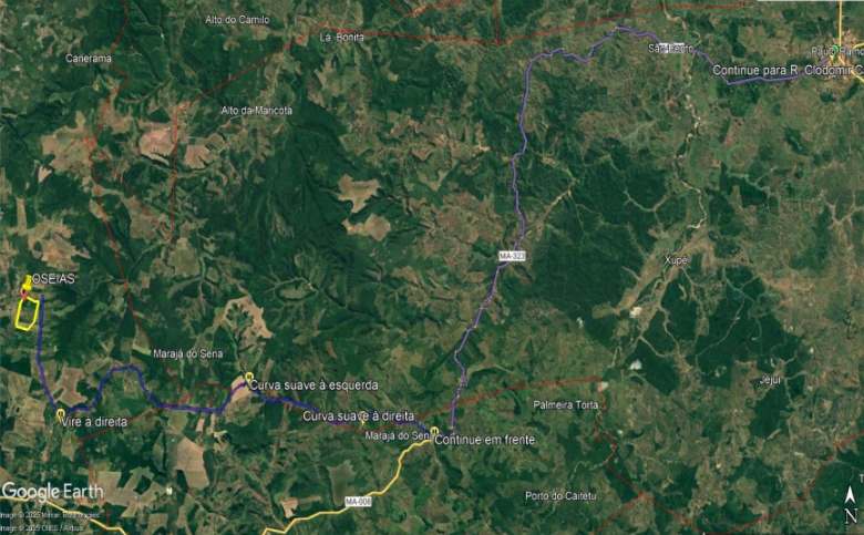 Imóvel rural em Paulo Ramos, Povoado Baixão Da Onça, Fazenda Pinheiro S/n Povoado Baixão Da Onça, MA. Área: nullm2 - imagem 0