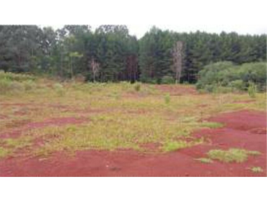 Terreno em Santa Maria do Oeste, Santo Antônio, Rua José de França Pereira s/nº  - Terreno (Lote 04-5B da Quadra 14) - Santo Antônio, PR. Área: 390.99m2 - imagem 0