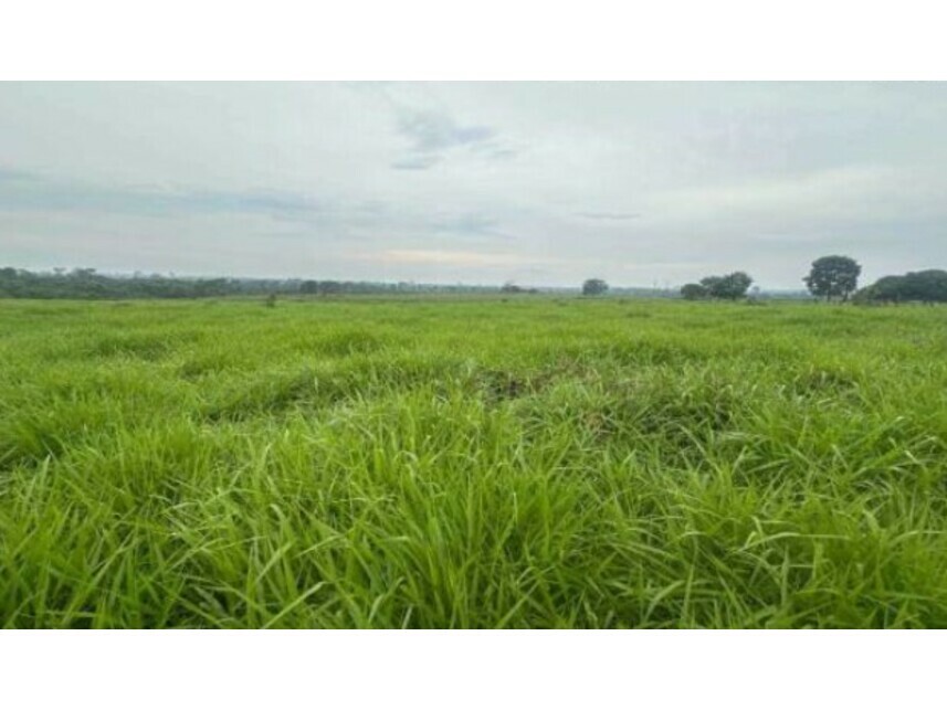 Imóvel rural em Nova Bandeirantes, Zona Rural, Estrada Vicinal s/n° - Sítio Bom Jesus - Zona Rural, MT. Área: 561920m2
