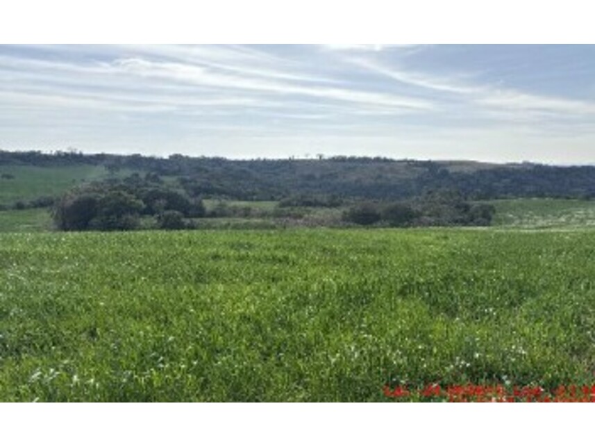 Imóvel rural em Turvo, Zona Rural, Rio Bonito s/nº - Área rural - Zona Rural, PR. Área: nullm2