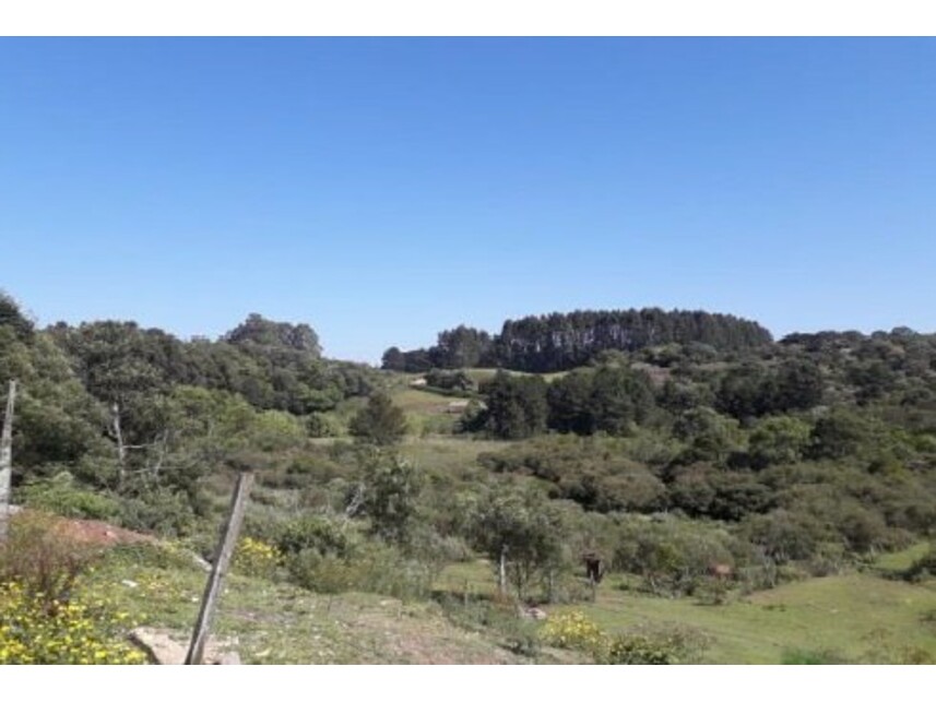 Terreno em Caxias do Sul, Serrano, Rua Otávio Bernardes s/nº - Terreno (Lote 08 da Quadra 2395) - Serrano, RS. Área: 13079.44m2