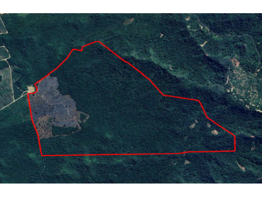 Imóvel Rural - João Lisboa/MA - Estrada Vicinal s/nº - Fazenda Santa Maria (Lote 2 - Gleba B.M)
